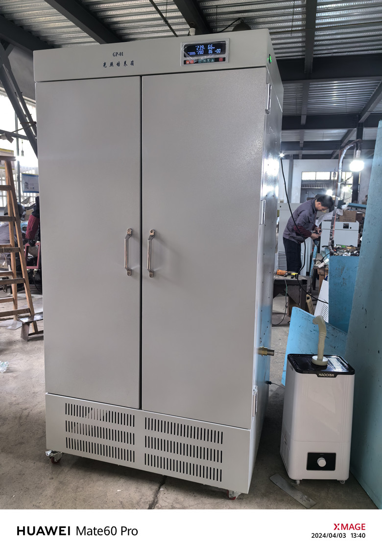 GP-01����������