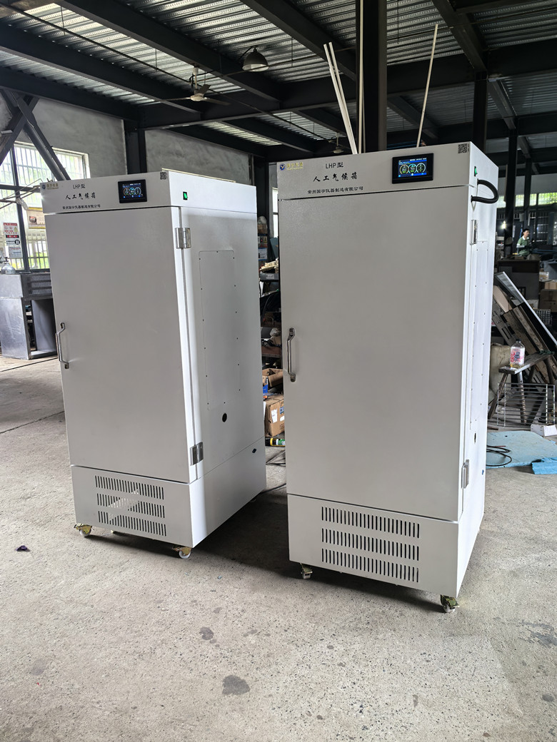 LHPϵ���˹�������